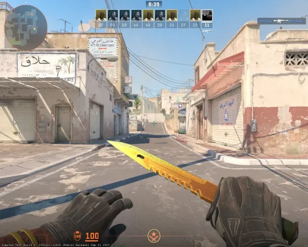 ★ M9 Bayonet Lore