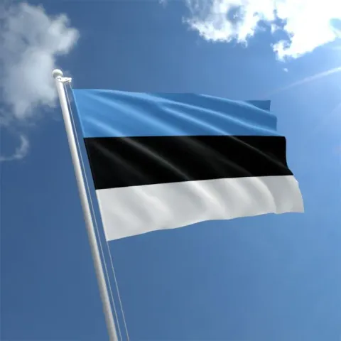 CS:GO наиболее популярна в Эстонии и Дании