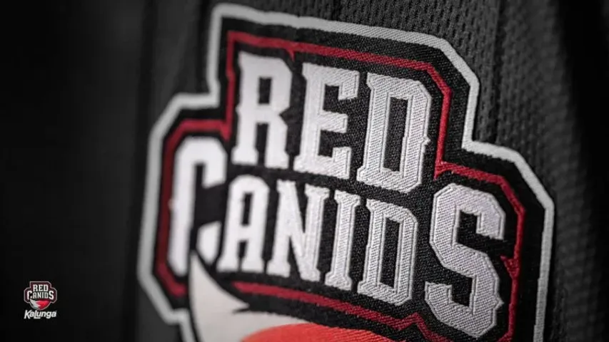 HEN1 приєднується до RED Canids: Нова ера для бразильського CS