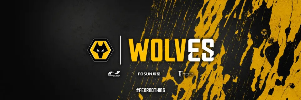 Pl1xx официально покидает Wolves Esports