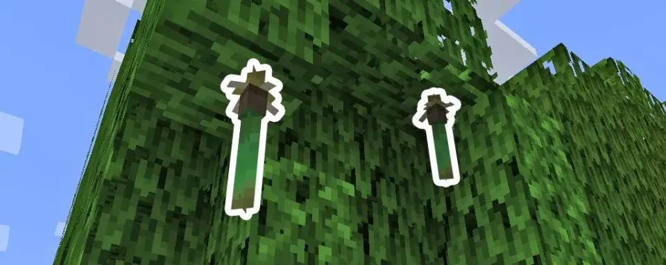 Cómo cultivar árboles de mangle en Minecraft