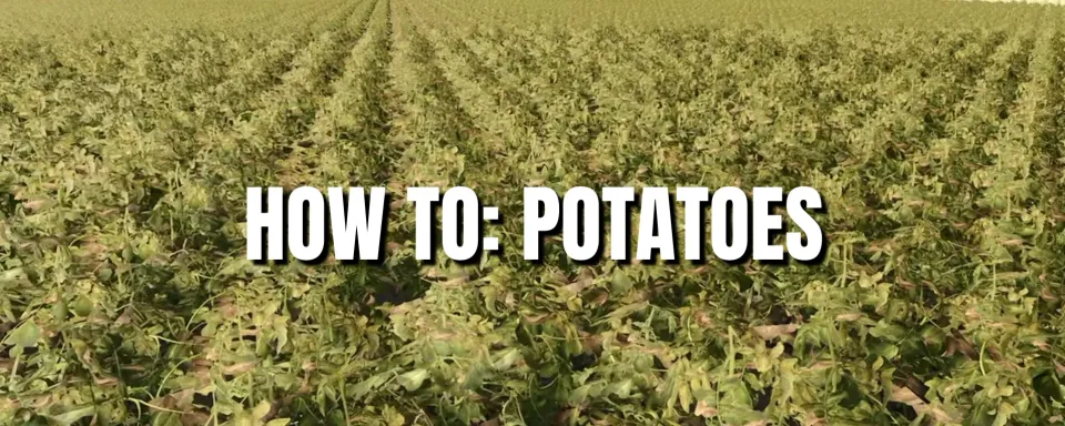 Farming Simulator 25: How to Grow and Sell Potatoes