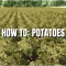 Farming Simulator 25: How to Grow and Sell Potatoes