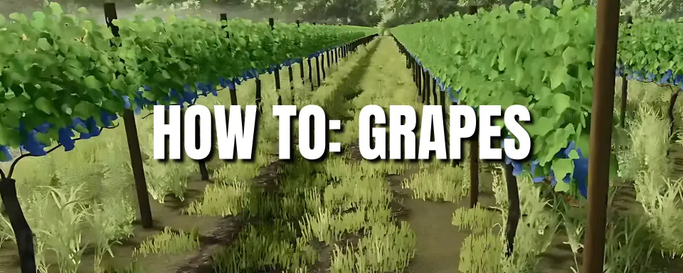 Farming Simulator 25: How to Grow and Sell Grapes