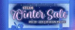 Top 20 juegos de la venta de invierno de Steam 2024