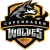 Copenhagen Wolves Academy