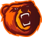 Bears Concept