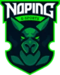 NoPing e-sports