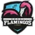 Miami Flamingos