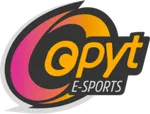 Opyt e-Sports