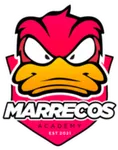 Marrecos