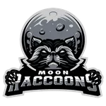 Moon Raccoons