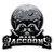 Moon Raccoons