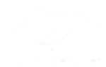 Team Secret