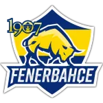 Fenerbahçe Esports