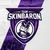 Team SkinBaron