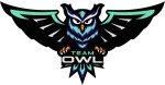 Team OWL