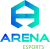 Arena Esports Major Cup: January Final