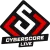 CyberScore Cup 2024